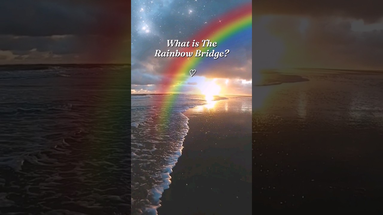 What is the Rainbow Bridge and what does it mean to you? ❤️🌈❤️ #doglovers #petparent #petloss