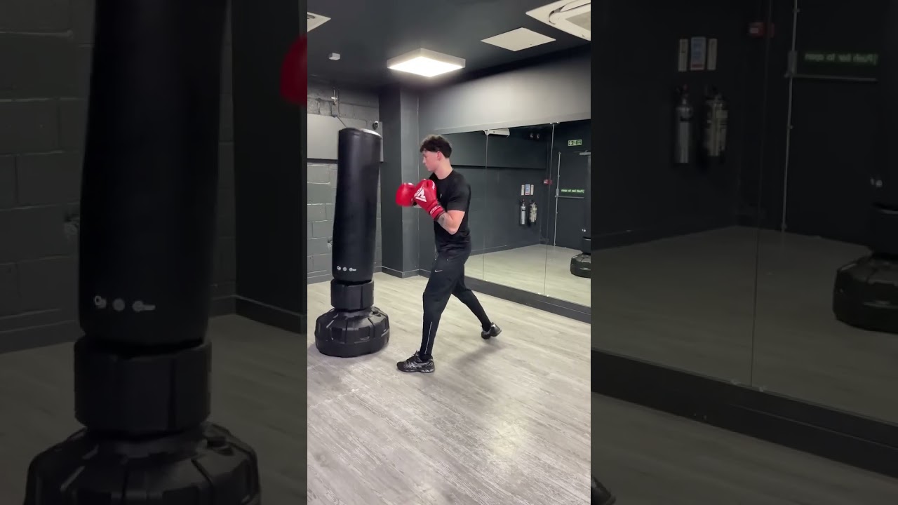 Free Standing Punching Bag Review | RDX Sports Durability Test