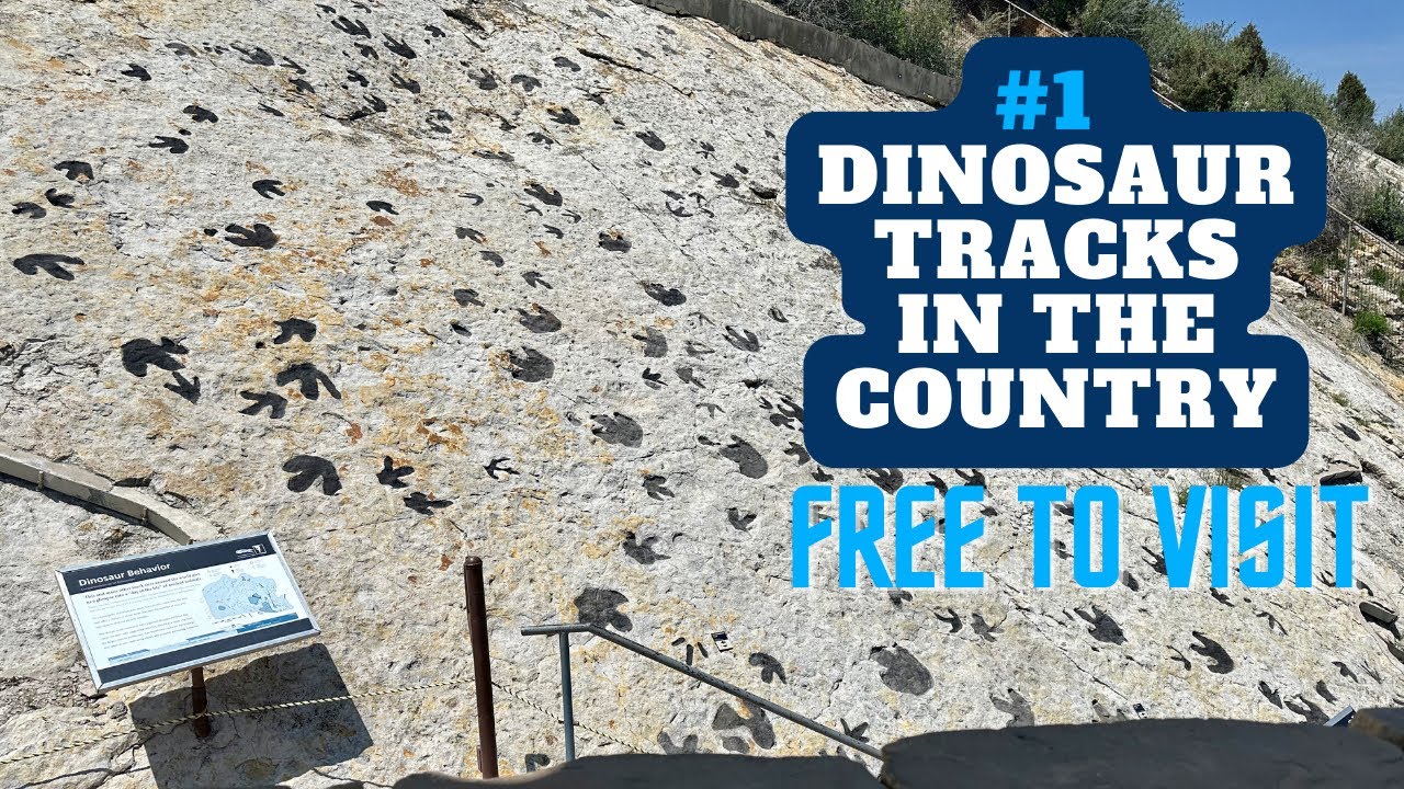 Dinosaur Ridge: The #1 Site for dinosaur tracks in the nation!