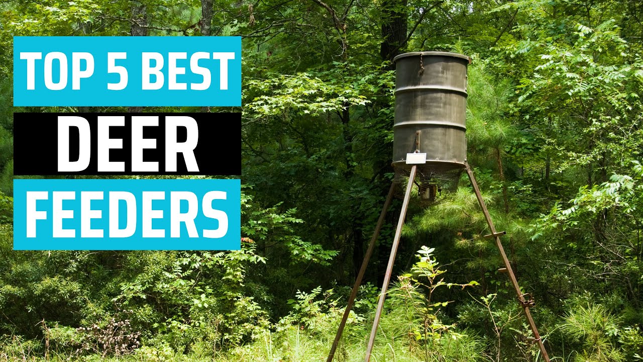 Best Deer Feeders 2025 - [don’t buy one before watching this]