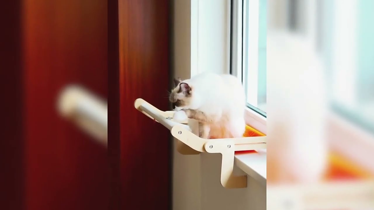 Mewoofun Pet Cat Window Perch 4 Color Wooden Assembly Hanging Bed Cotton Canvas Easy Washable