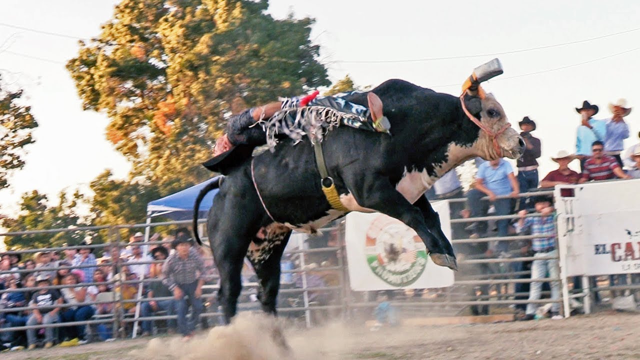PURAS MONTAS PERRONAS EN ESTE JARIPEO!! rancho el capricho en ceres california