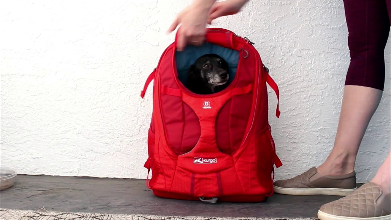 Kurgo G-Train Dog Carrier Backpack