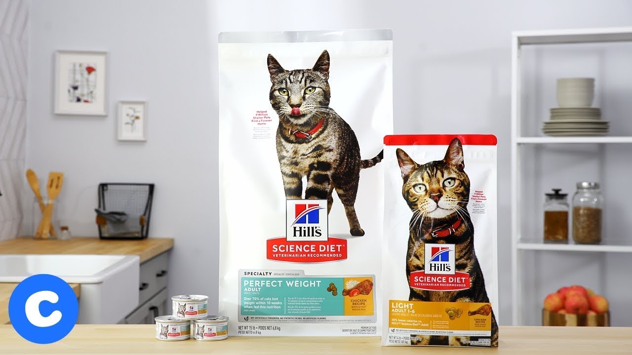 Hill's Science Diet Special Needs Cat Food | Chewy