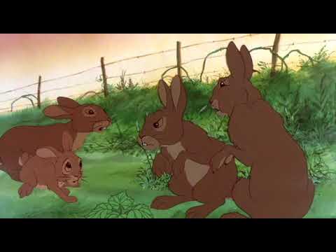 WaterShip Down (1978) full movie