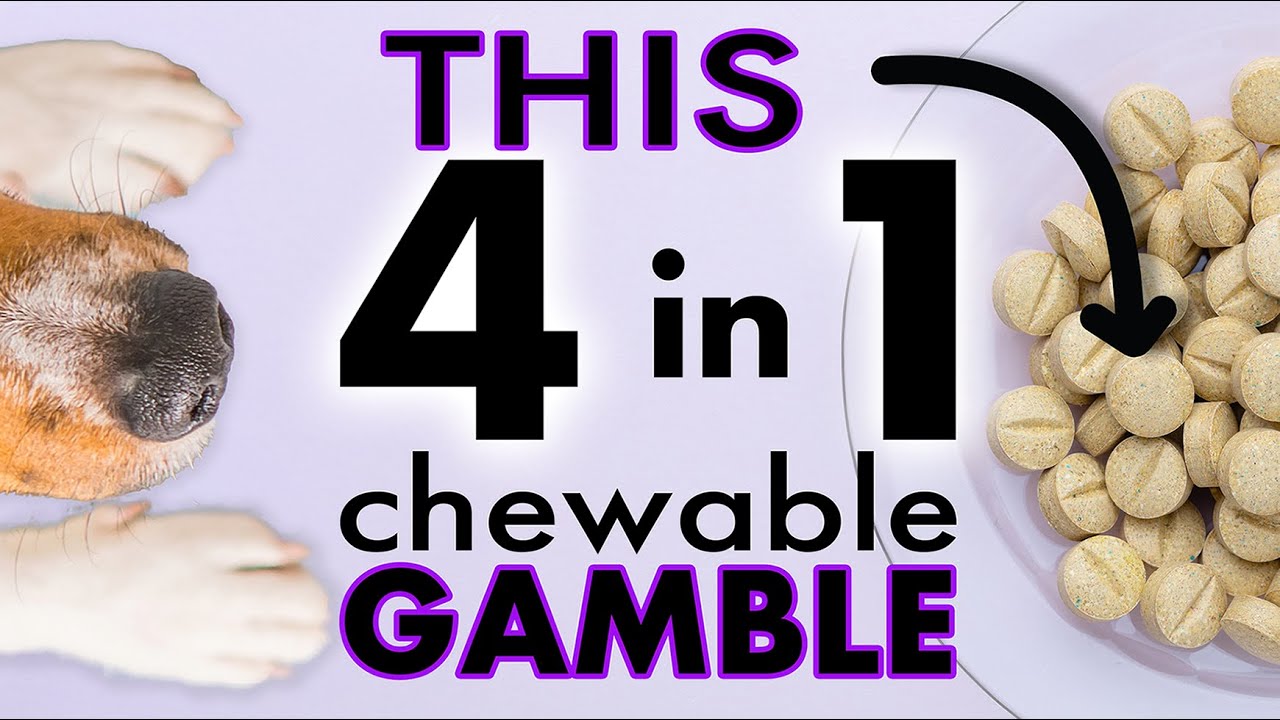 Credelio Quattro™💊4 in 1 Gamble⚠️Know What You Are Giving Your Dog