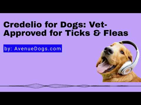Credelio for Dogs: Vet-Approved for Ticks & Fleas
