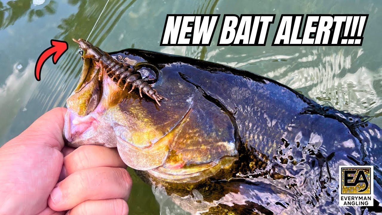 Nikko’s New Sinking Hellgrammite Is a Cheat Code! (Summer Bass Fishing Tips)