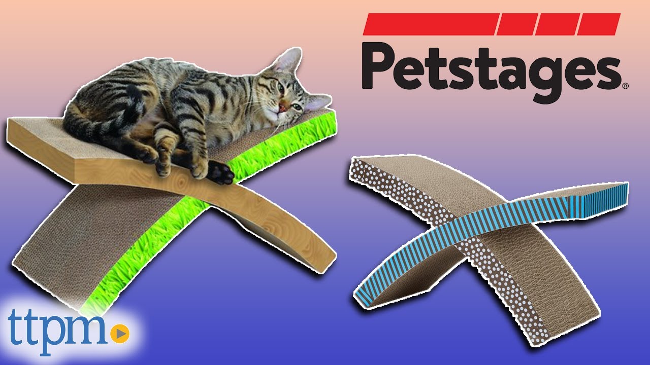Easy Life Hammock Cat Scratcher from Petstages Review!