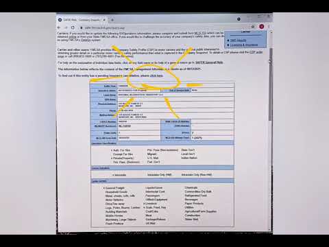 Transport Company Snapshot Info
