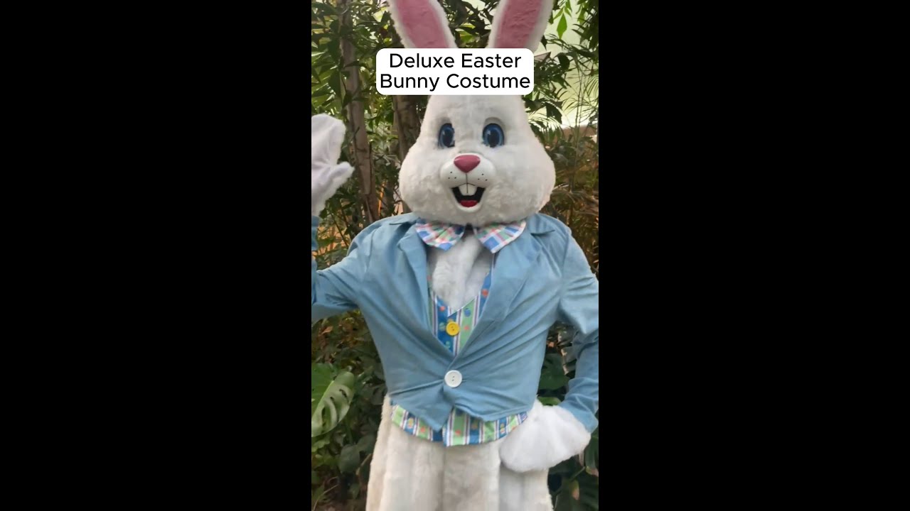 Easter Bunny Costume