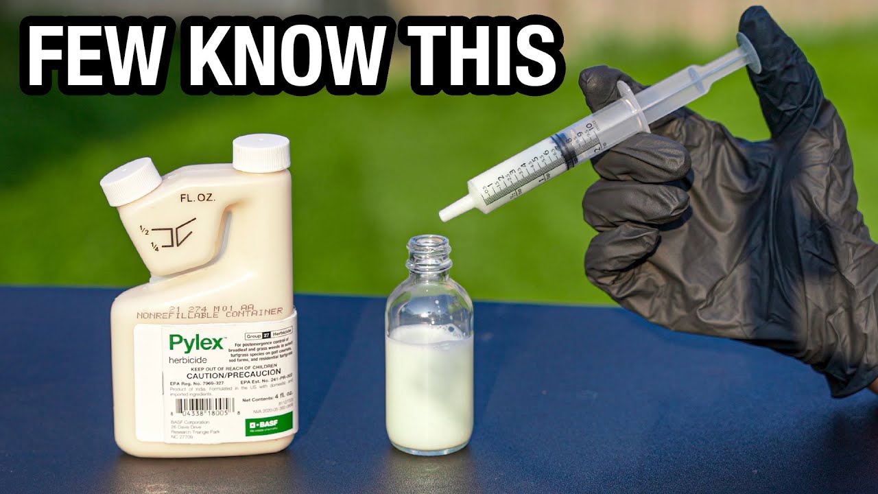 I Tested the Deadliest Crabgrass Killer in the World